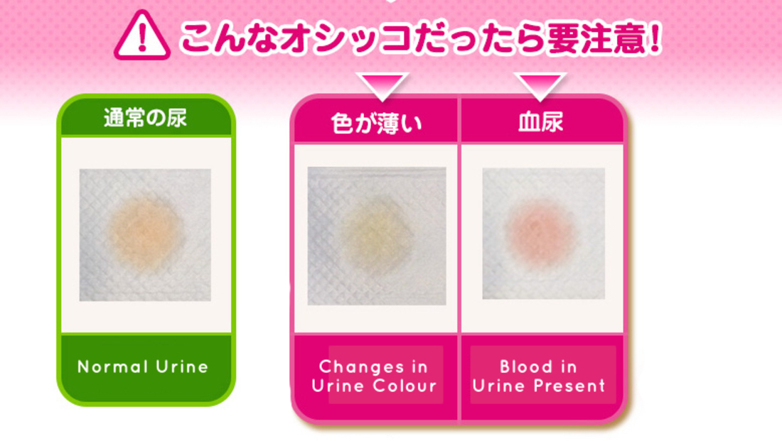 Cat Urine Color Chart