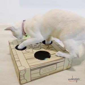 cat playing with box with holes physical care nekoya