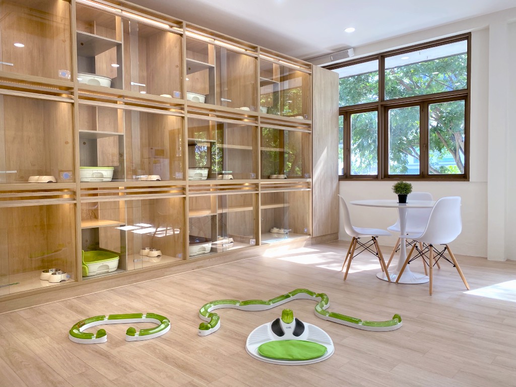 Nekoyas Design Concept - Nekoya Cat Daycare & Boarding Hotel Singapore