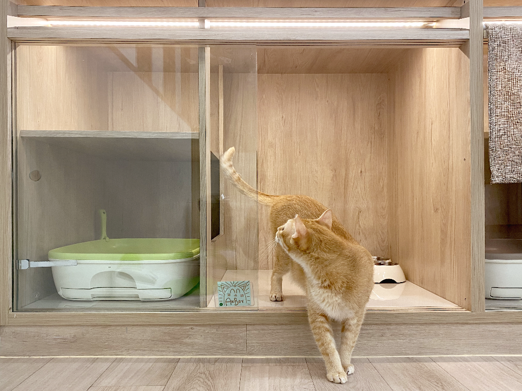 Nekoya's Design Concept - Nekoya Cat Sitting & Boarding Hotel Singapore